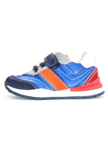 Naturino Sneakers "Ascal" blauw/meerkleurig