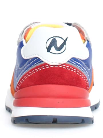 Naturino Sneakers "Ascal" blauw/meerkleurig