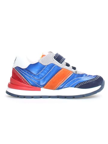 Naturino Sneakers "Ascal" blauw/meerkleurig