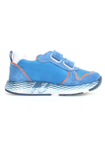 Naturino Leren sneakers "Althidon" lichtblauw