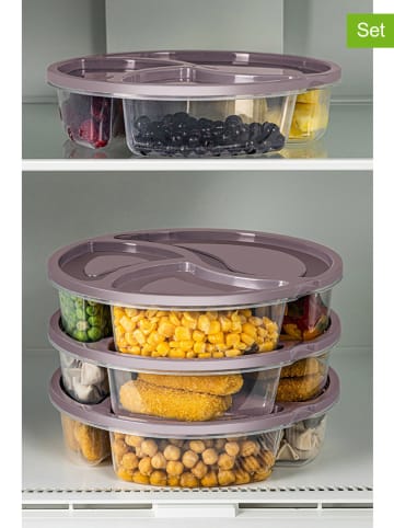 Violeta Home Pojemniki (4 szt.) w kolorze fioletowym - wys. 5 cm