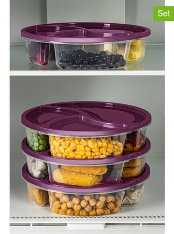 Violeta Home 4-delige set: voorraadcontainers paars - (H)5 cm