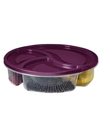 Violeta Home Pojemniki (4 szt.) w kolorze fioletowym - wys. 5 cm