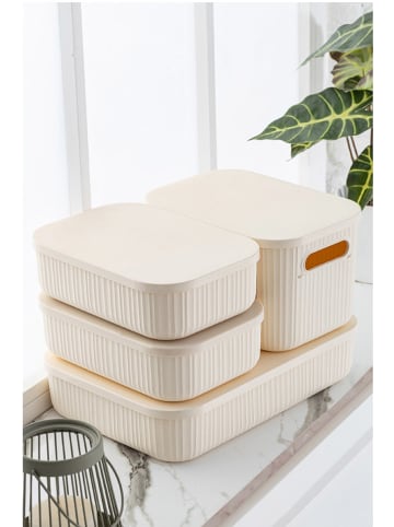 Violeta Home 4er-Set: Make-Up-Organizer in Creme