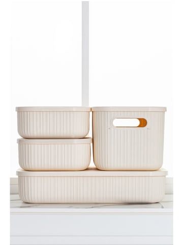 Violeta Home 4er-Set: Make-Up-Organizer in Creme