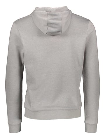 Mizuno Hoodie "Mizuno" grijs
