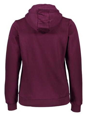Mizuno Hoodie in Aubergine