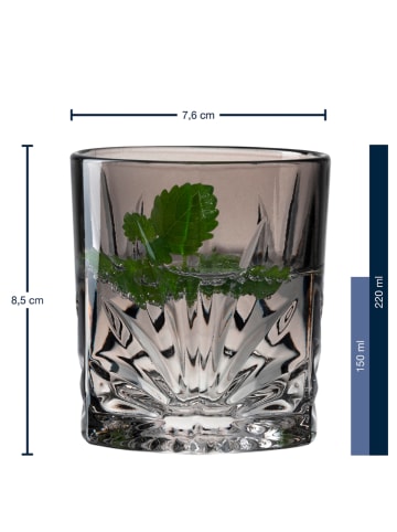 LEONARDO 4-delige set: whiskyglazen "Capri" grijs - 220 ml