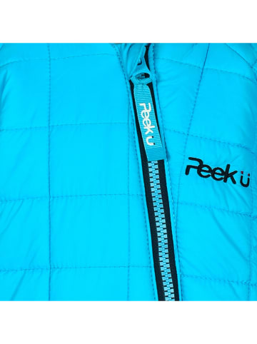 Peek U Winter-Overall "Fauna" in Türkis