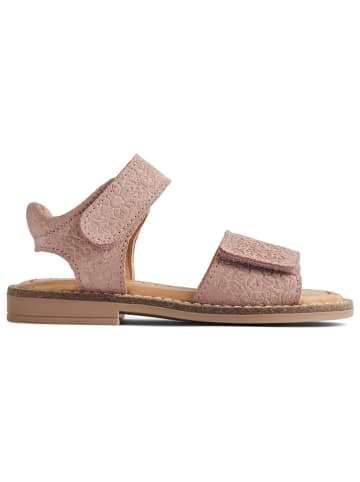 Wheat Leder-Sandalen in Rosa