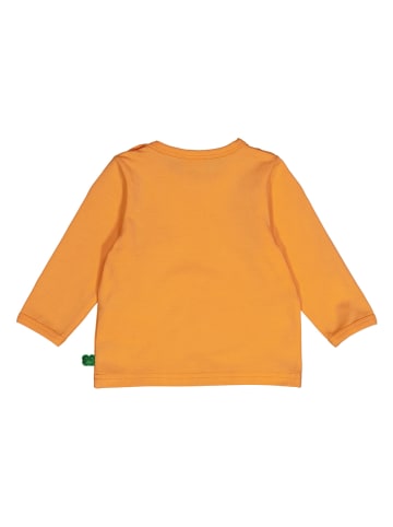 Fred´s World by GREEN COTTON Koszulka "Alfa" w kolorze pomarańczowym