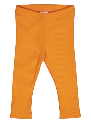 Fred´s World by GREEN COTTON Legging "Alfa" oranje