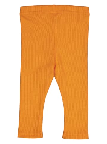 Fred´s World by GREEN COTTON Legging "Alfa" oranje