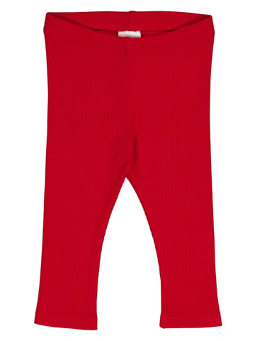 Fred´s World by GREEN COTTON Legginsy "Alfa" w kolorze czerwonym
