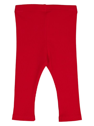 Fred´s World by GREEN COTTON Legging "Alfa" rood