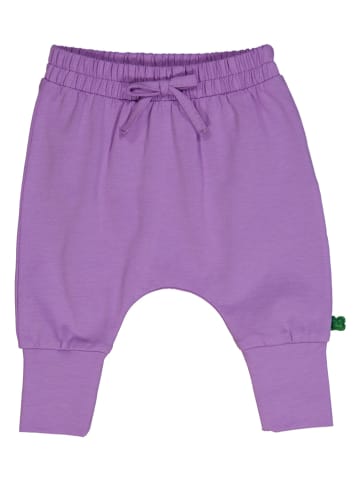 Fred´s World by GREEN COTTON Harembroek "Alfa" paars