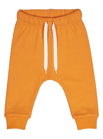 Fred´s World by GREEN COTTON Sweatbroek oranje