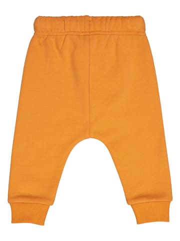 Fred´s World by GREEN COTTON Spodnie dresowe w kolorze pomarańczowym