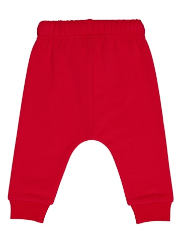 Fred´s World by GREEN COTTON Spodnie dresowe w kolorze czerwonym