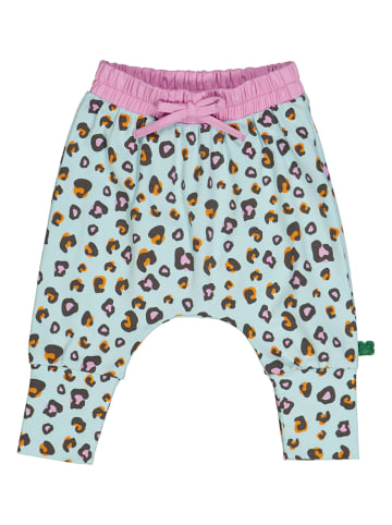 Fred´s World by GREEN COTTON Sweathose "Leo" in Bunt