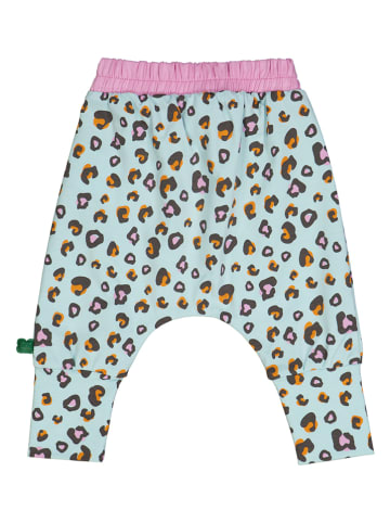 Fred´s World by GREEN COTTON Sweathose "Leo" in Bunt