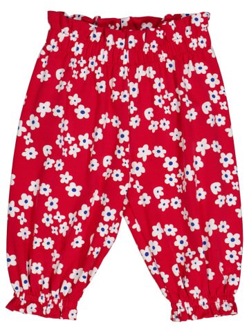 Fred´s World by GREEN COTTON Pumphose "Gladly" in Rot/ Weiß/ Blau