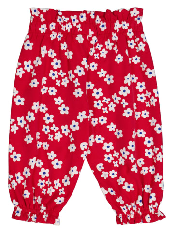 Fred´s World by GREEN COTTON Sweatbroek "Gladly" rood/wit/blauw