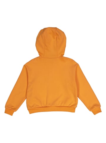 Fred´s World by GREEN COTTON Bluza "College" w kolorze pomarańczowym