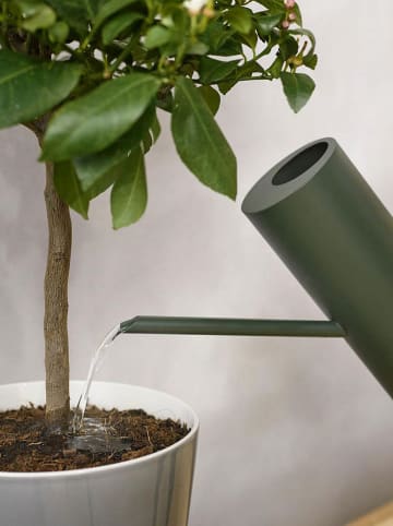 Stelton Gieter "Bloom" groen - 2 l