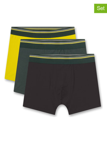 Sanetta 3er-Set: Boxershorts in Gelb/ Schwarz/ Anthrazit