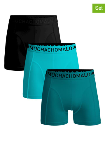 Muchachomalo 3-delige set: boxershorts turquoise/zwart