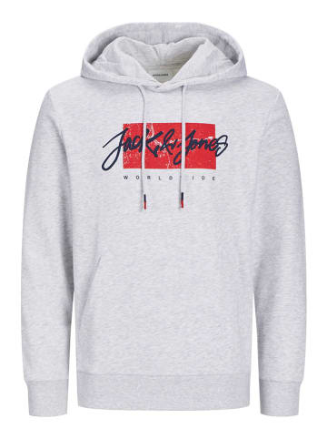 Jack & Jones Hoodie "Tiley" in Hellgrau