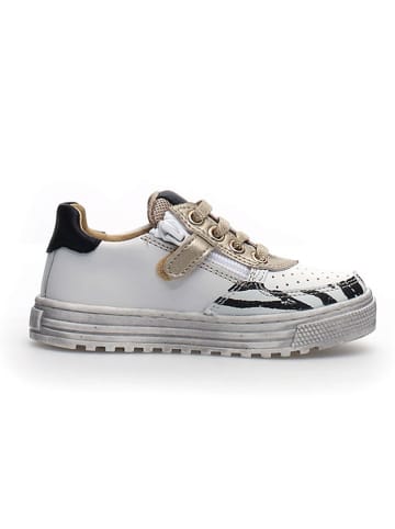 Naturino Leren sneakers "Hess" wit/goudkleurig/zwart