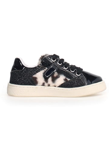 Naturino Leder-Sneakers "Quar" in Schwarz/ Creme