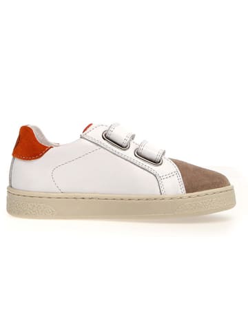 Naturino Leder-Sneakers "Pinn" in Weiß/ Beige/ Blau