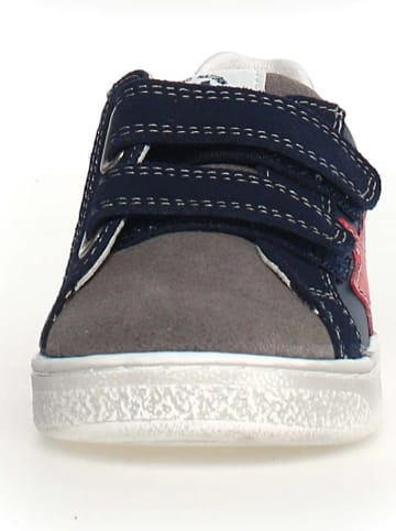 Naturino Leder-Sneakers "Pinn" in Dunkelblau/ Grau