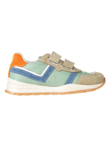 Naturino Leren sneakers "Evon"