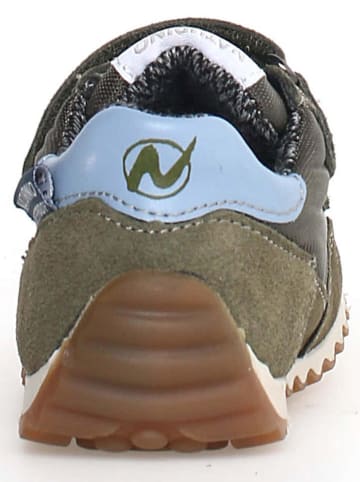 Naturino Leder-Sneakers "Sammy 2" in Khaki/ Hellblau/ Weiß