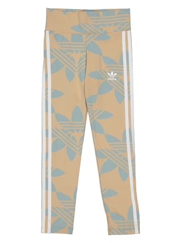 adidas Leggings in Beige/ Hellblau