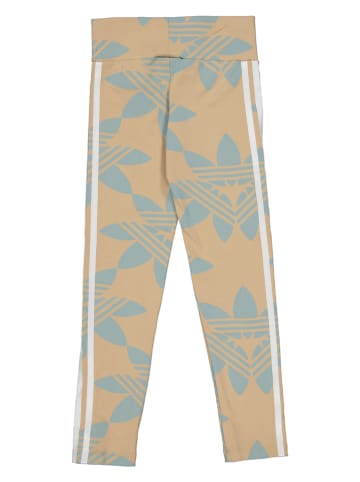 adidas Leggings in Beige/ Hellblau