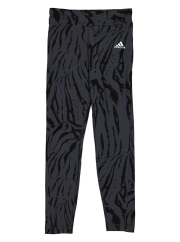 adidas Leggings "Future Icons" in Anthrazit