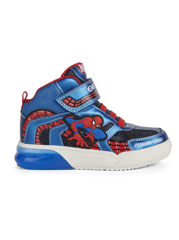 Geox Sneakers "Grayjay" blauw/rood