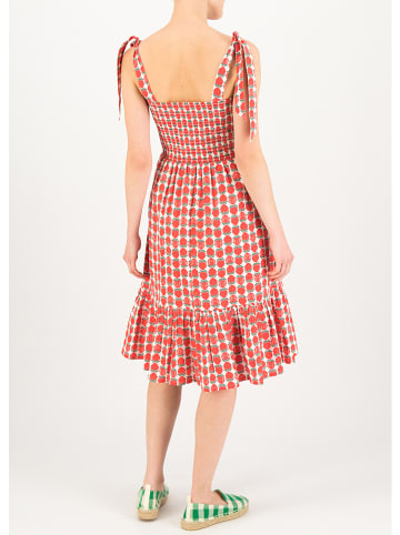 Blutsgeschwister Jurk "Seaside Picknick Love" rood/wit