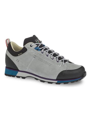DOLOMITE Leren wandelschoenen "54 Hike Low Evo GTX" grijs