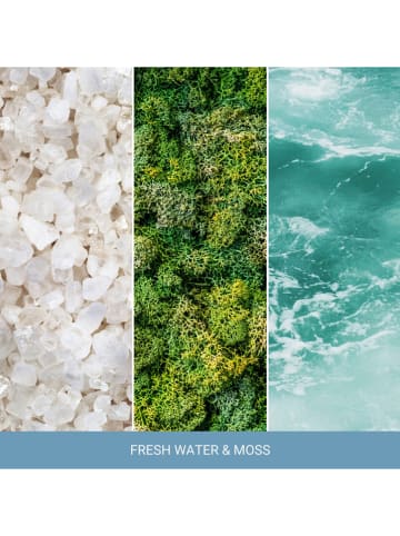 Nature's Wick by WoodWick Duftkerze "Fresh Warter & Moss" - 433 g