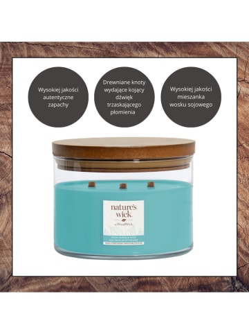 Nature's Wick by WoodWick Duftkerze "Fresh Warter & Moss" - 433 g
