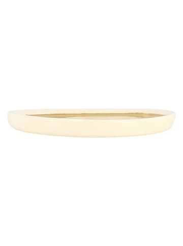 Ogo Living 6er-Set: Dessertteller "Flé" in Gelb - Ø 13,5 cm