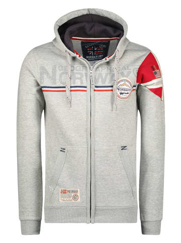 Geographical Norway Bluza "Faponie" w kolorze szarym