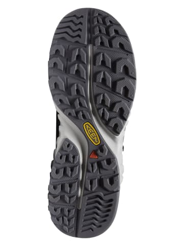 Keen Wanderboots "Nxis Evo" in Grau