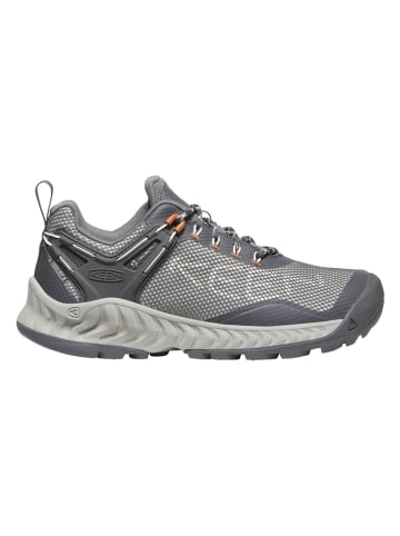 Keen Wanderschuhe "Nxis Evo" in Grau